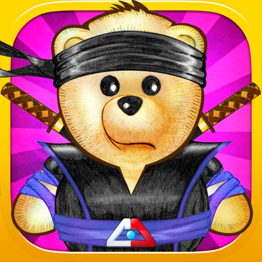 Ice Math Ninja - PREMIUM icon