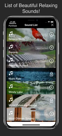 Game screenshot Relaxing Sounds & Melodies apk