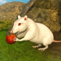 Rat Simulator Games 2020