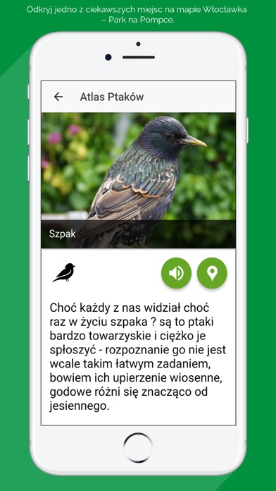 Ogród na Pompce screenshot 4