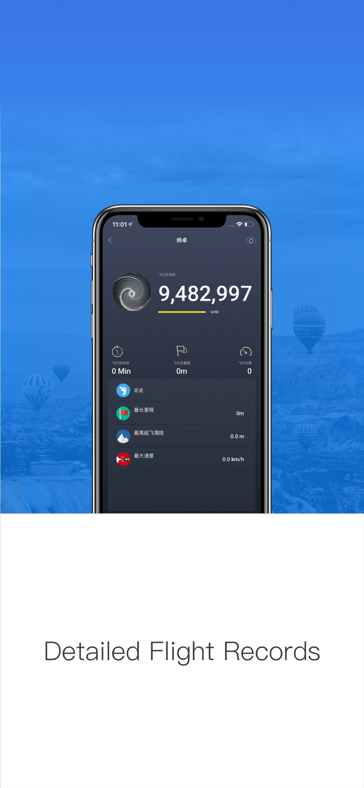 DJI GO