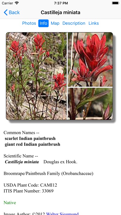 North California Wildflowers screenshot-5