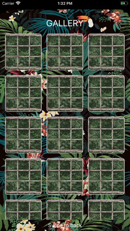 Parrot Marrot Guesserio