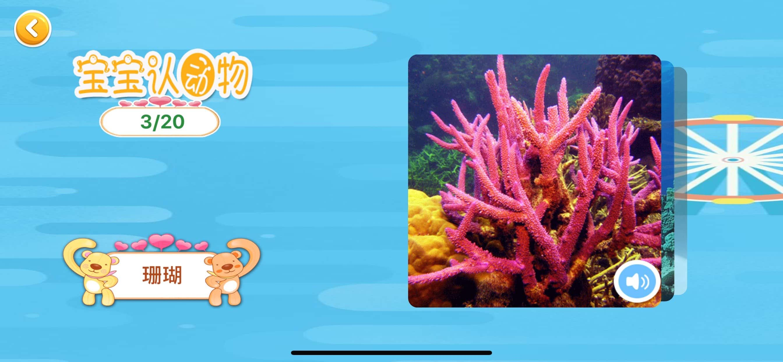 宝宝认动物-海洋动物