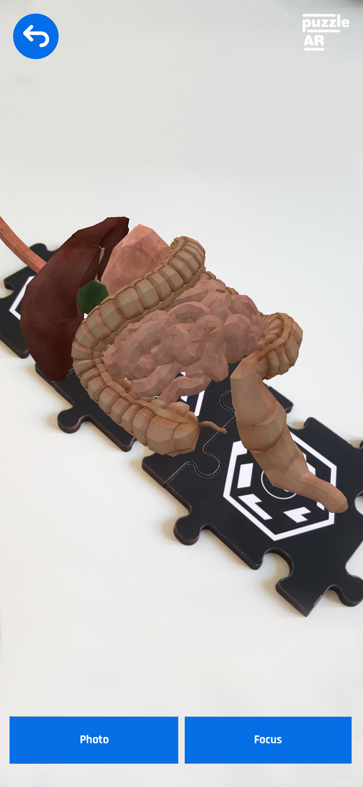 Puzzle AR screenshot 3