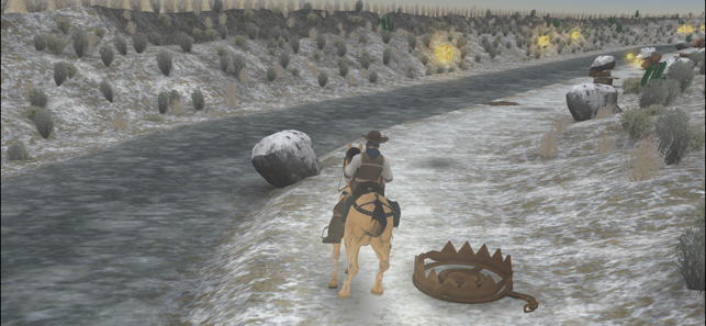 Wild West Law