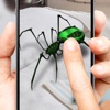 Icon 3D spider on a hand simulator