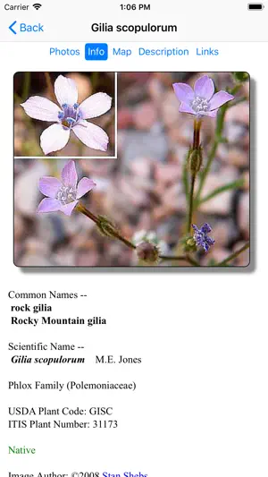 Death Valley Wildflower Search screenshot 3
