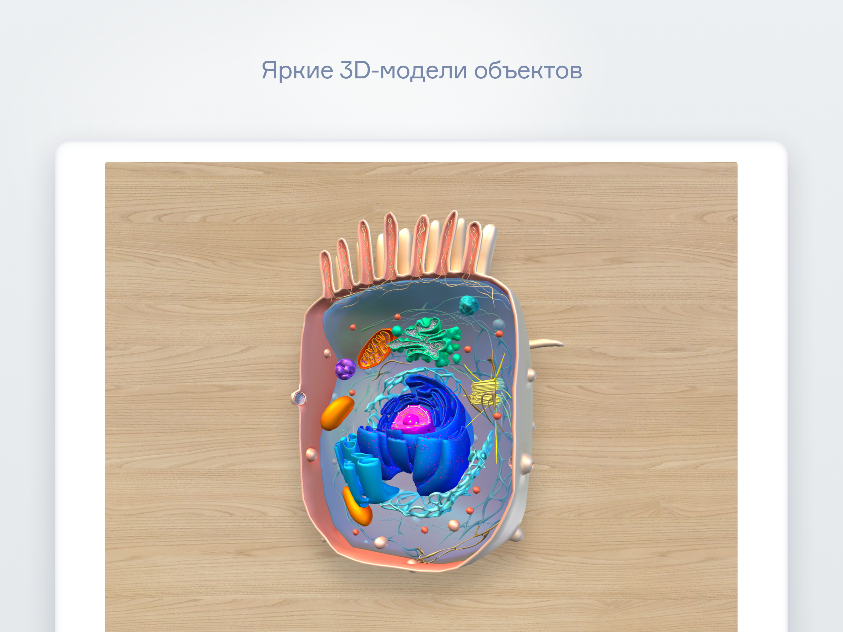 Modum Education screenshot 5