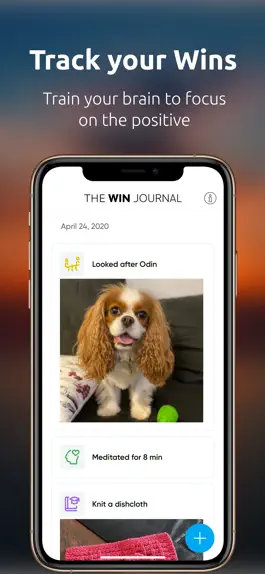 Game screenshot The Win Journal apk