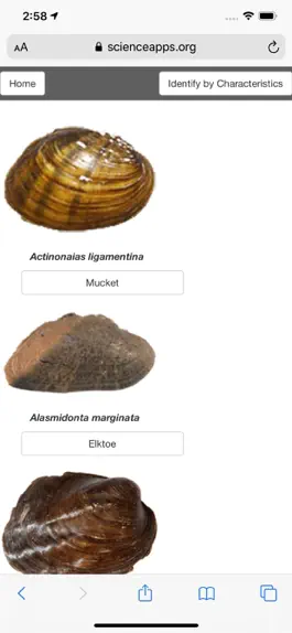 Game screenshot MusselID mod apk