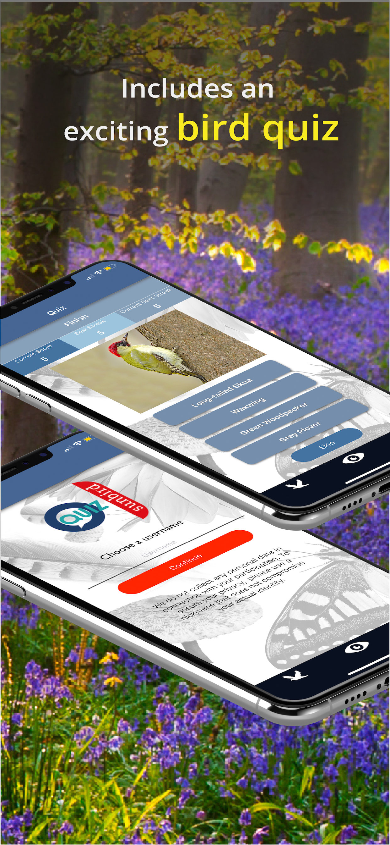 Bird Id - British Isles birds
