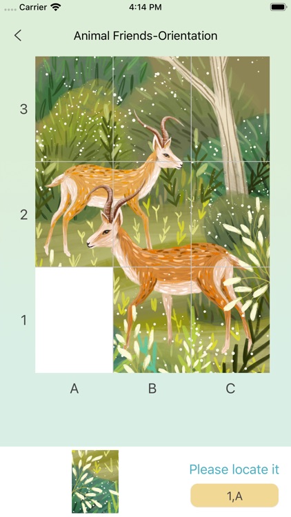 Animal Friends-Orientation