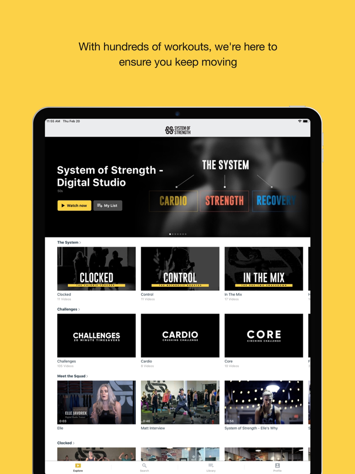 System of Strength Online