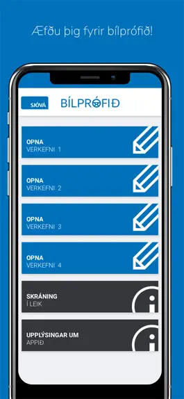 Game screenshot Bílprófið mod apk