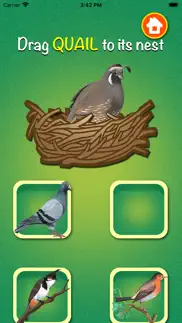 learn about birds iphone images 4