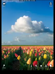 10,000,000 HD Wallpapers ipad bilder 2