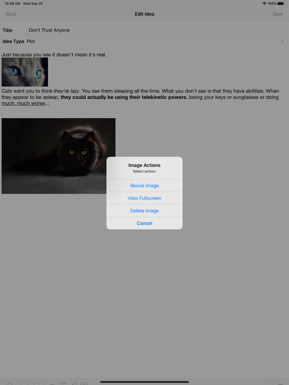 Screenshot #6 pour WriteIdeas