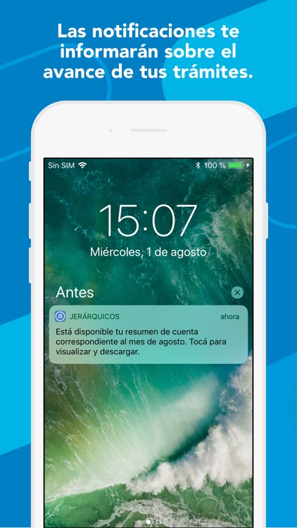 Jerárquicos Móvil screenshot-5