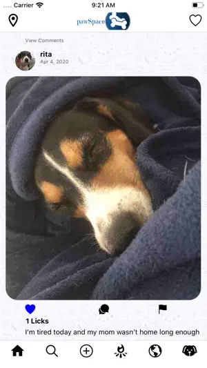 pawSpace screenshot 2