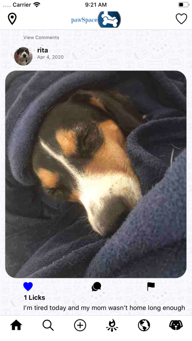 pawSpace iPhone screenshot 2 - Social Networking app