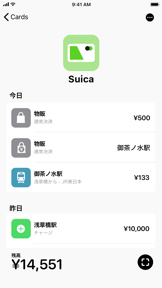 IC-Reader screenshot