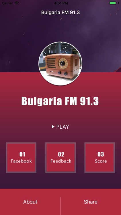 Bulgaria FM 91.3