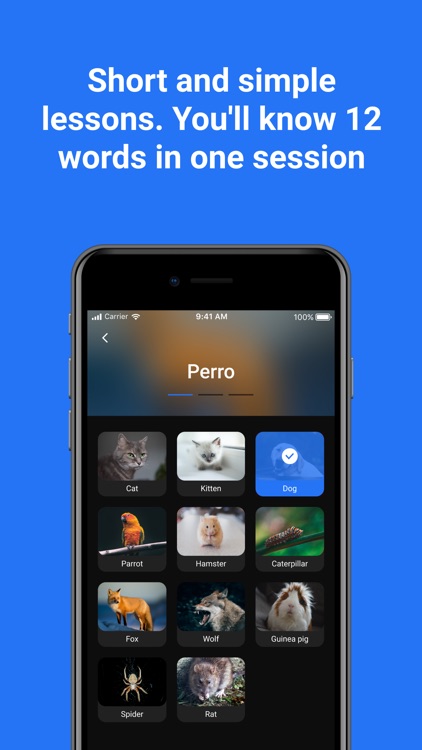 LingoBingo: Learn Languages