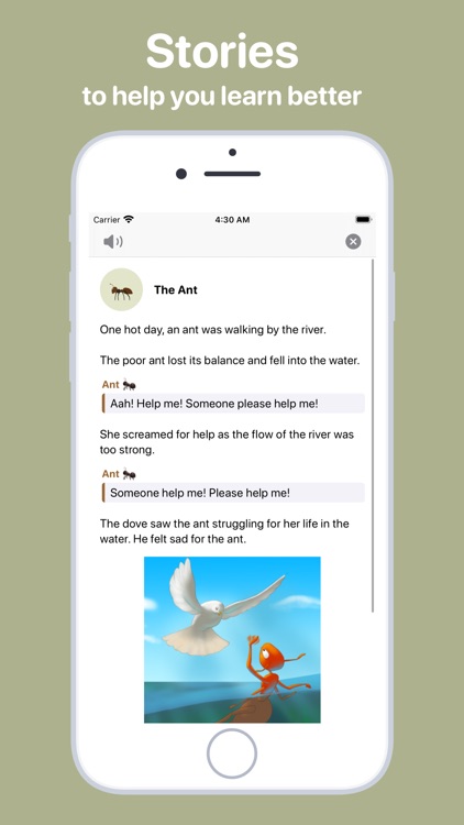 Lingo - Pocket English School screenshot-3
