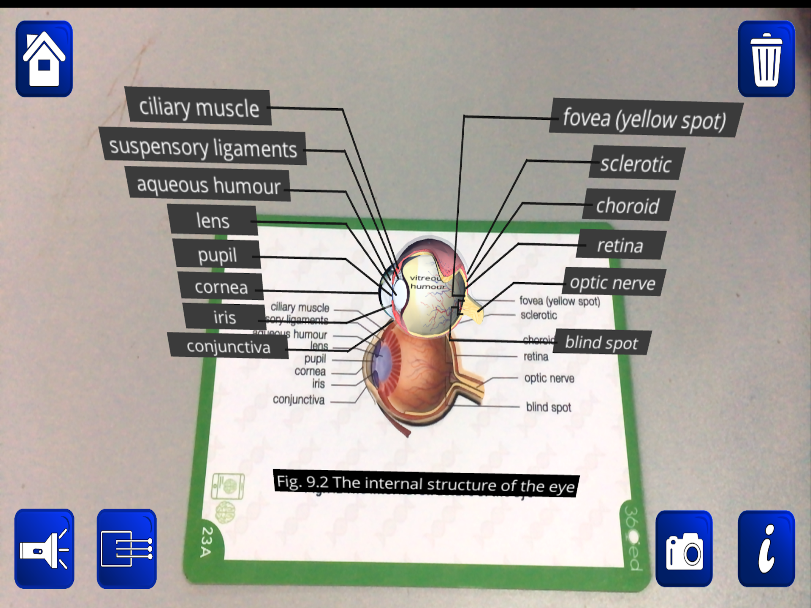 Dat Thin Pone Biology AR screenshot 7