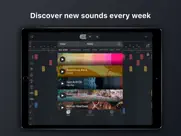 beat snap 2 -music maker remix ipad images 2