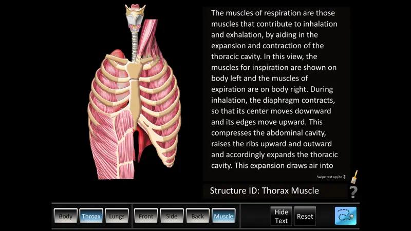 Respiration ID screenshot 5 of 5