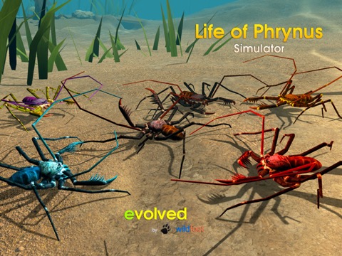 Life of Phrynus - Whip Spiderのおすすめ画像2