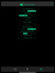 zig sim pro ipad capturas de pantalla 4