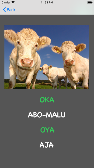 Screenshot #2 pour Yoruba Animal Quiz