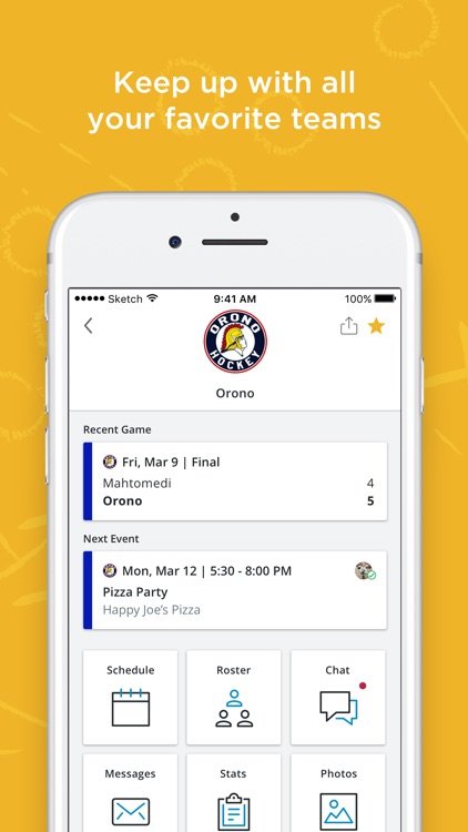 SportsEngine Team Management