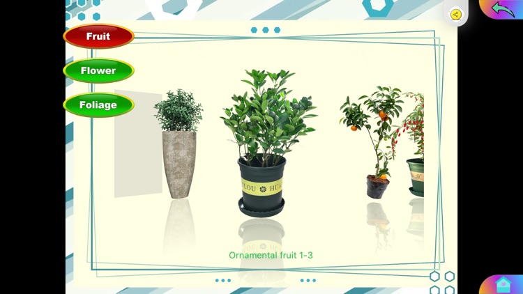 Ever Green Plants screenshot-3