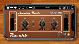 analog rack reverb problems & solutions and troubleshooting guide - 1