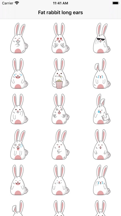 Fat rabbit long ears