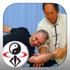 Tai Chi Martial Applications icon