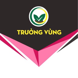 TRƯỞNG VÙNG