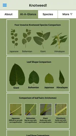 Game screenshot Knotweed! mod apk