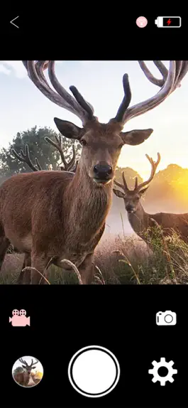 Game screenshot WiFi Hunting Camera apk