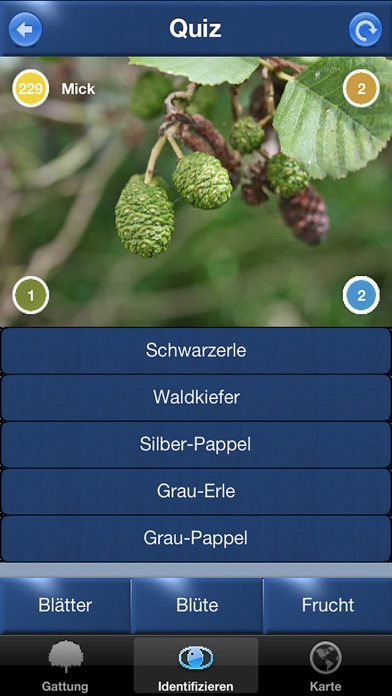 Baum Id Schweiz - Naturführer Screenshot