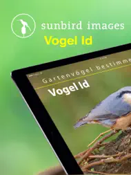 Vogel Id Gartenvögel bestimmen ipad bilder 0