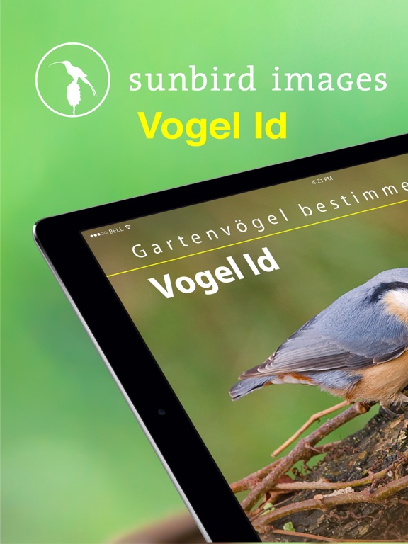 Screenshot #4 pour Vogel Id Gartenvögel bestimmen