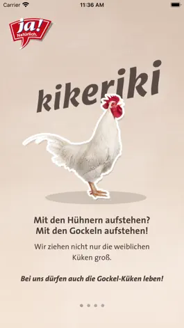 Game screenshot Kikeriki! mod apk