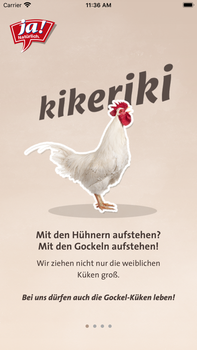 Screenshot #1 pour Kikeriki!