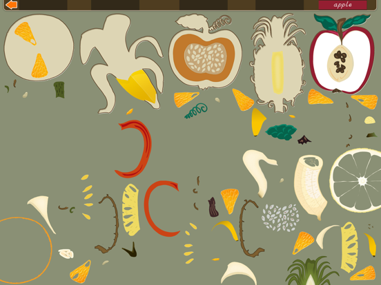 Montessori Parts of Fruits iPad screenshot