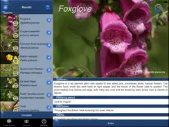 Wild Flower Id British Isles iPad image 4